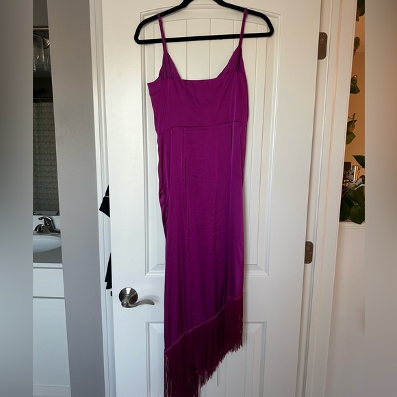 Showpo Fringe Dress - Picture 3 of 4